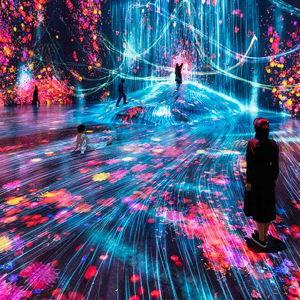 TeamLab Borderless Tokyo