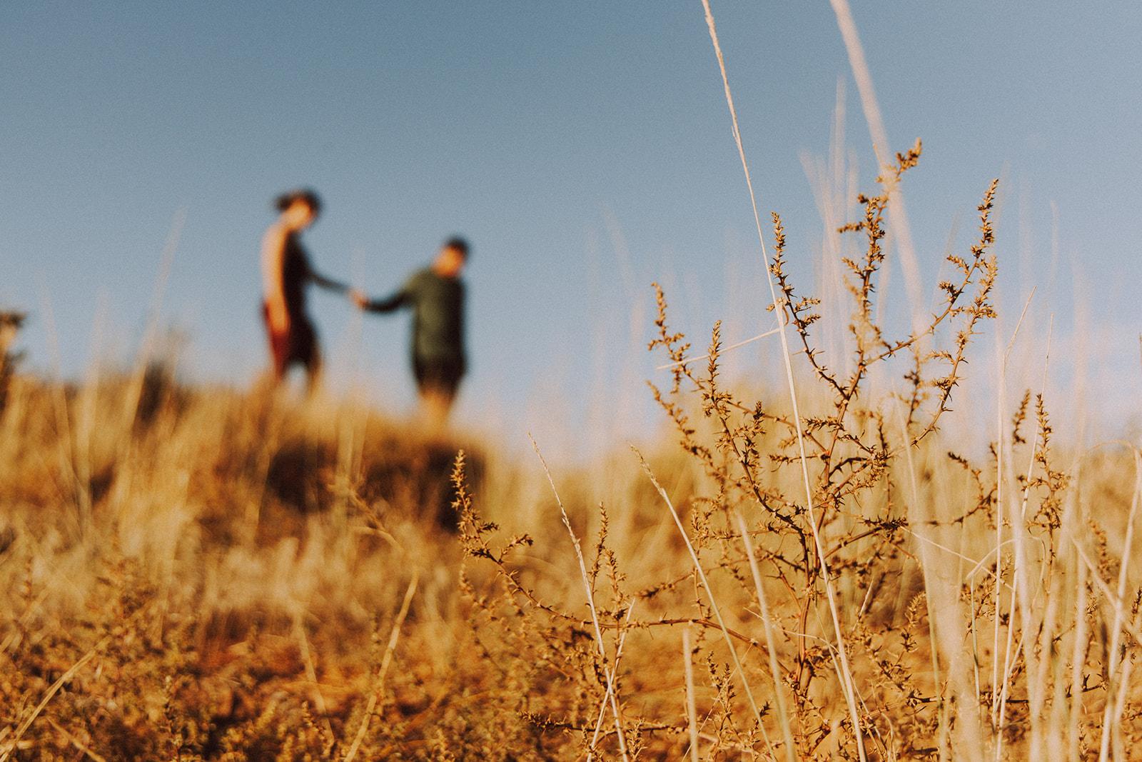 The Wedding Website of Krystal Nelson and Rio Schmidt
