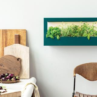 Smart Landscape Growframe