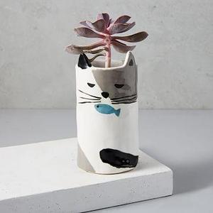 Ceramic Cat Planter