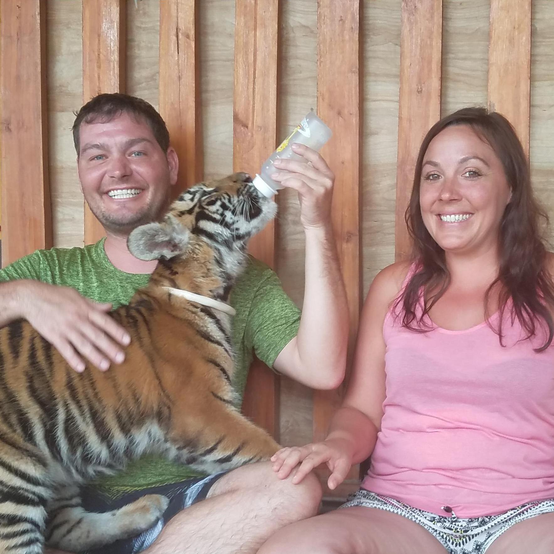 Feeding baby Tigers!!