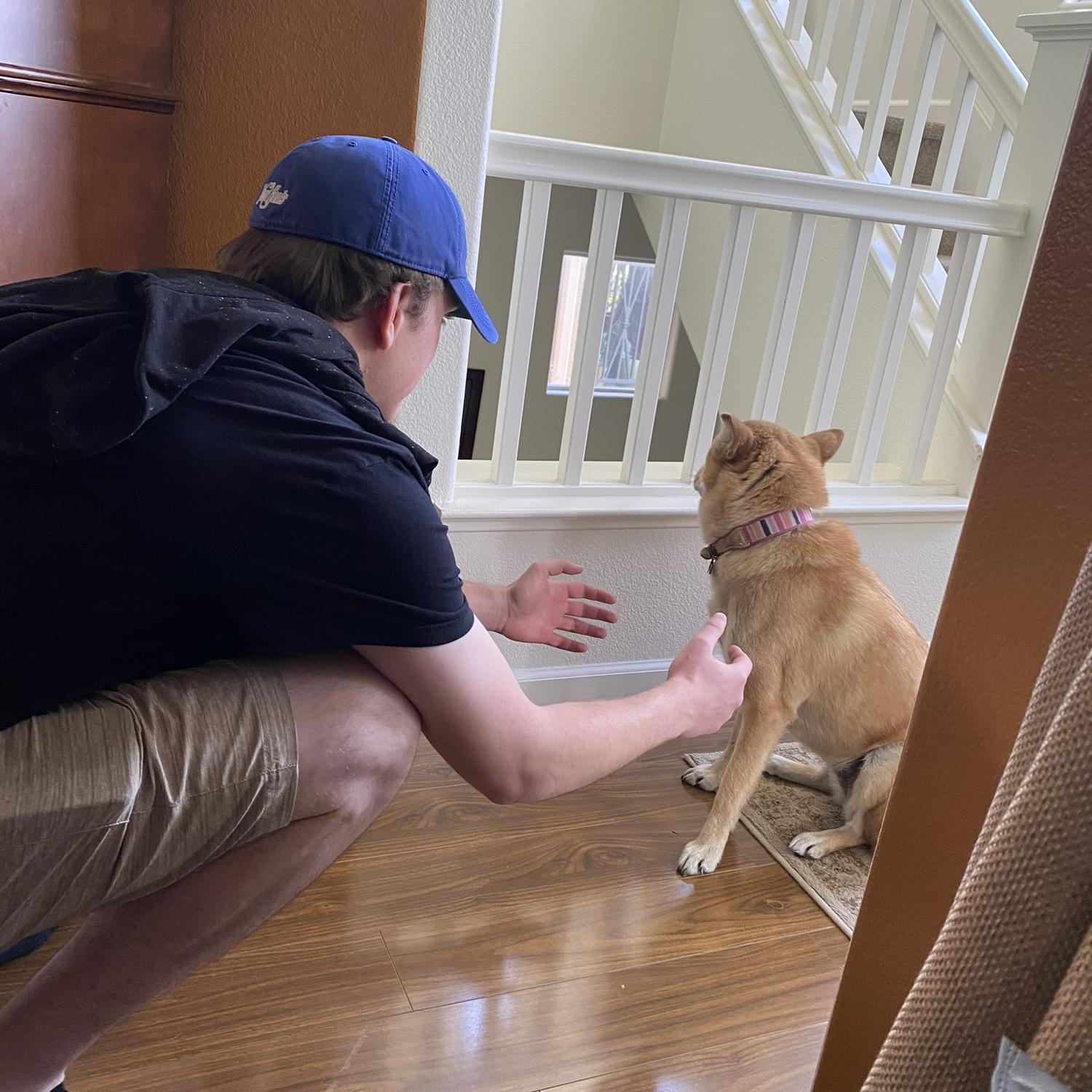 Lee's first time meeting JJ's family dog, Nala. She was not impressed. Jan '20