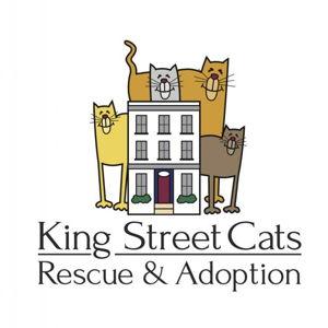 King Street Cats - Donation