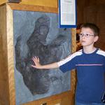 Geological Museum