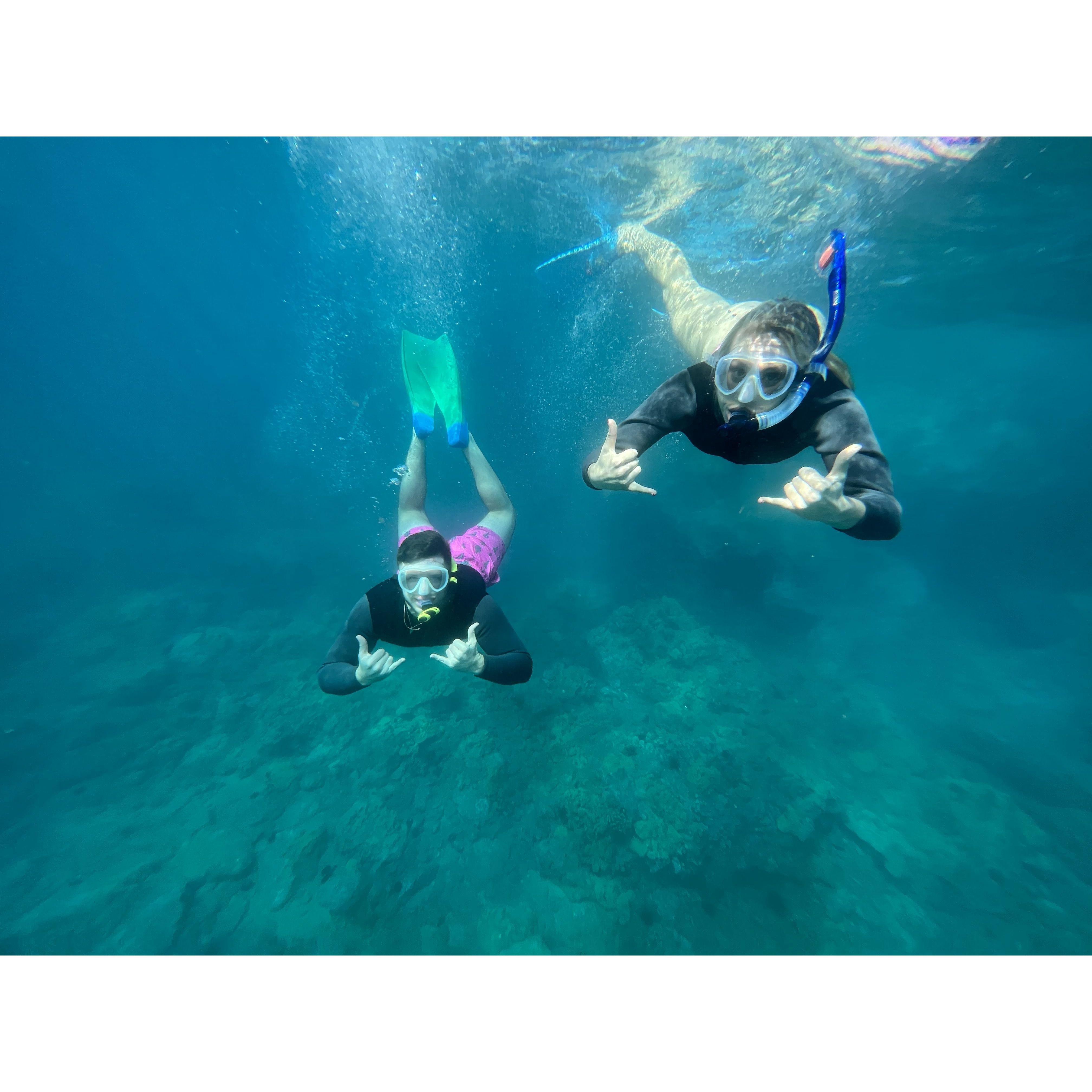 Maui for the holiday season.