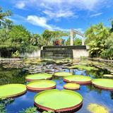 Naples Botanical Garden