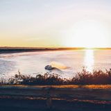 Sachuest Point National Wildlife Refuge