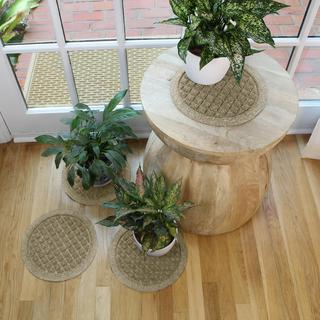WaterHog Squares Indoor/Outdoor Plant Trivet, Set of 4