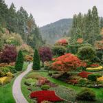 Butchart Gardens