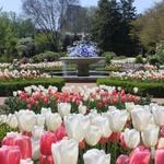 Atlanta Botanical Garden