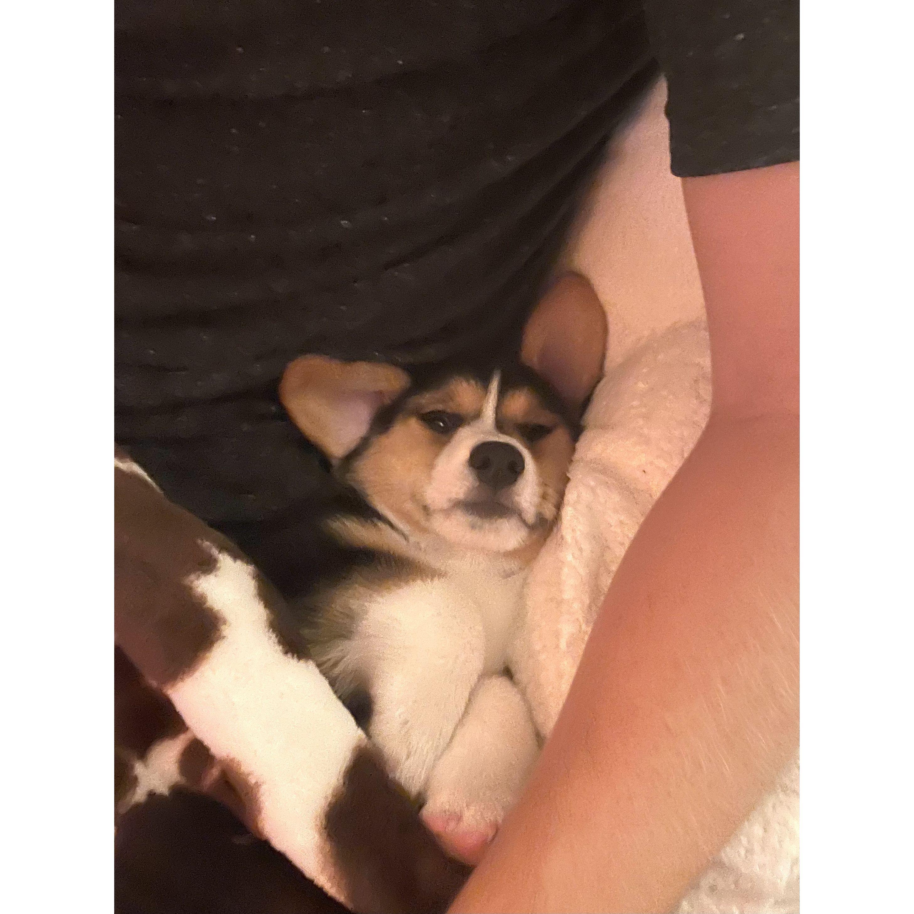 Added Peach to our little family on October 3, 2021