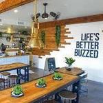 Better Buzz Coffee Roasters