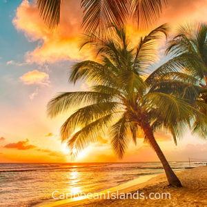 Honeymoon Fund