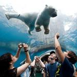 Pittsburgh Zoo & PPG Aquarium