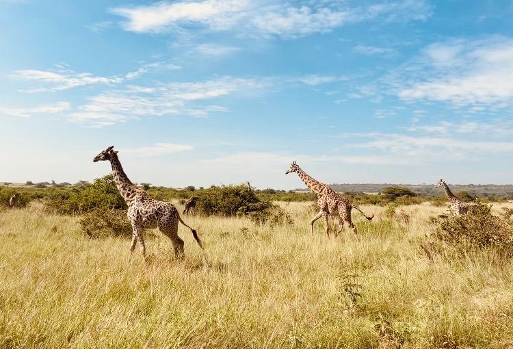 The Wedding Website of Margaret Brako and Zach Hindin