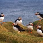 Rathlin Island