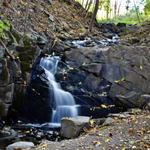 Falling Waters Preserve