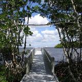 Four Mile Cove Ecological Preserve