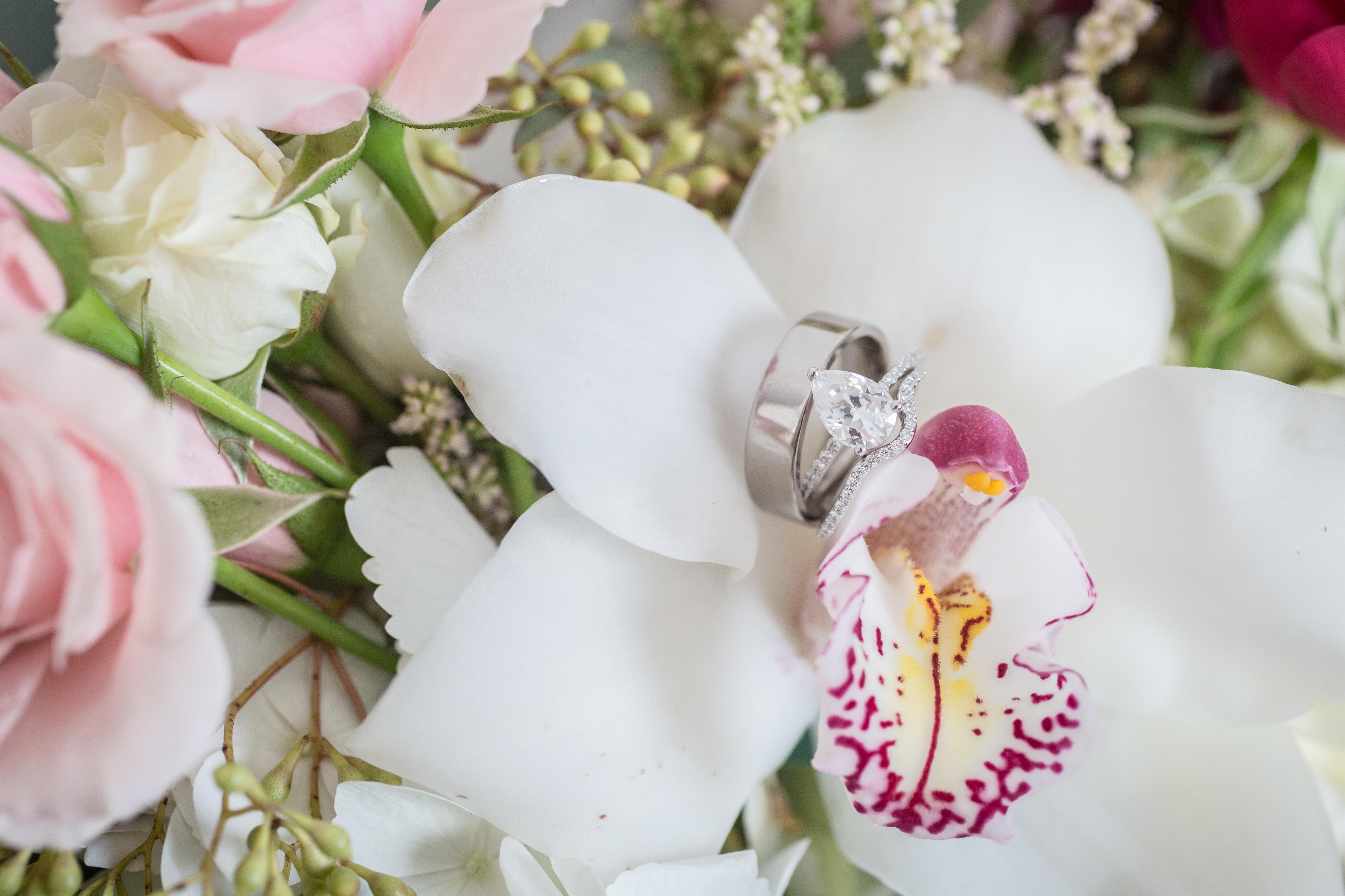 The Wedding Website of Kara Ross and Dakota Kelley
