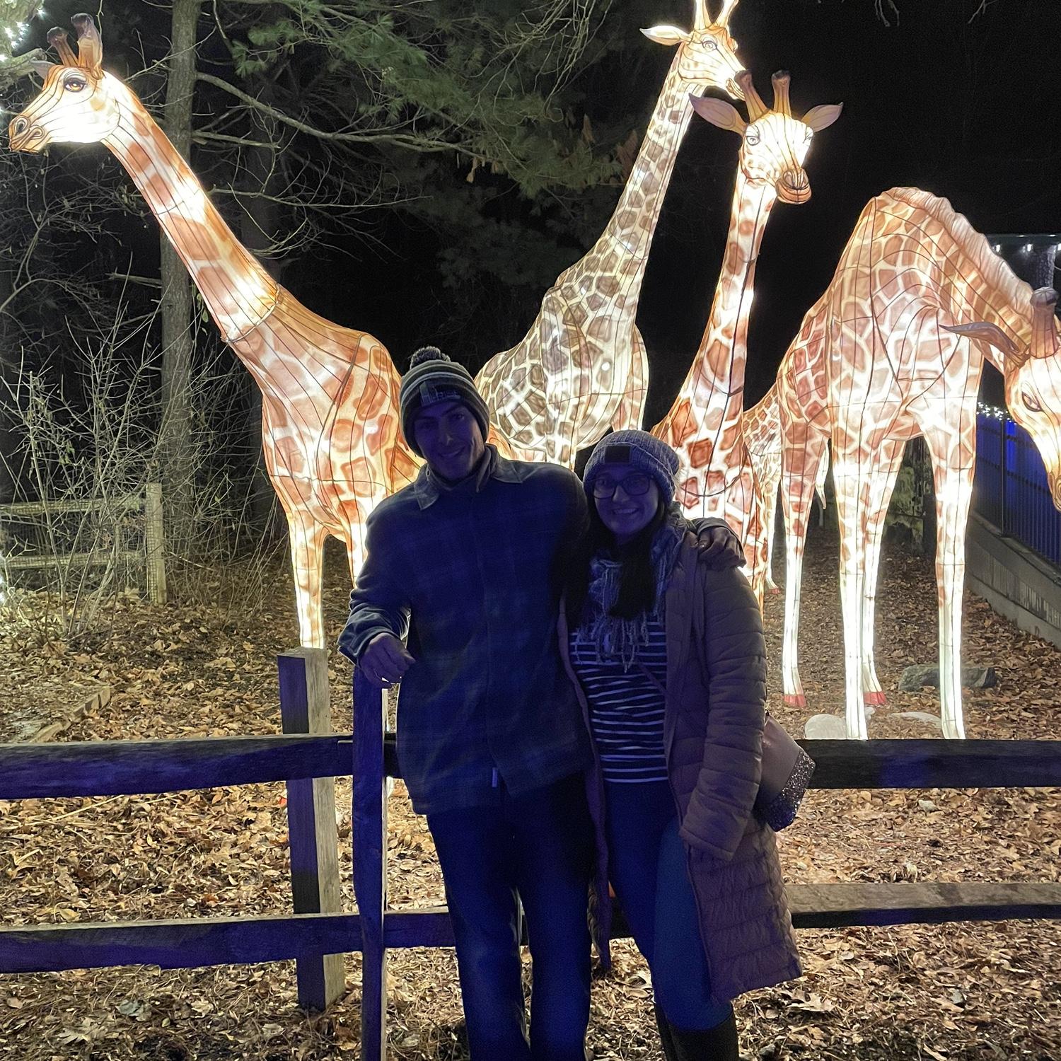 Zoo lights