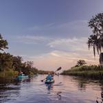 Bayou Adventure - Parc des Families