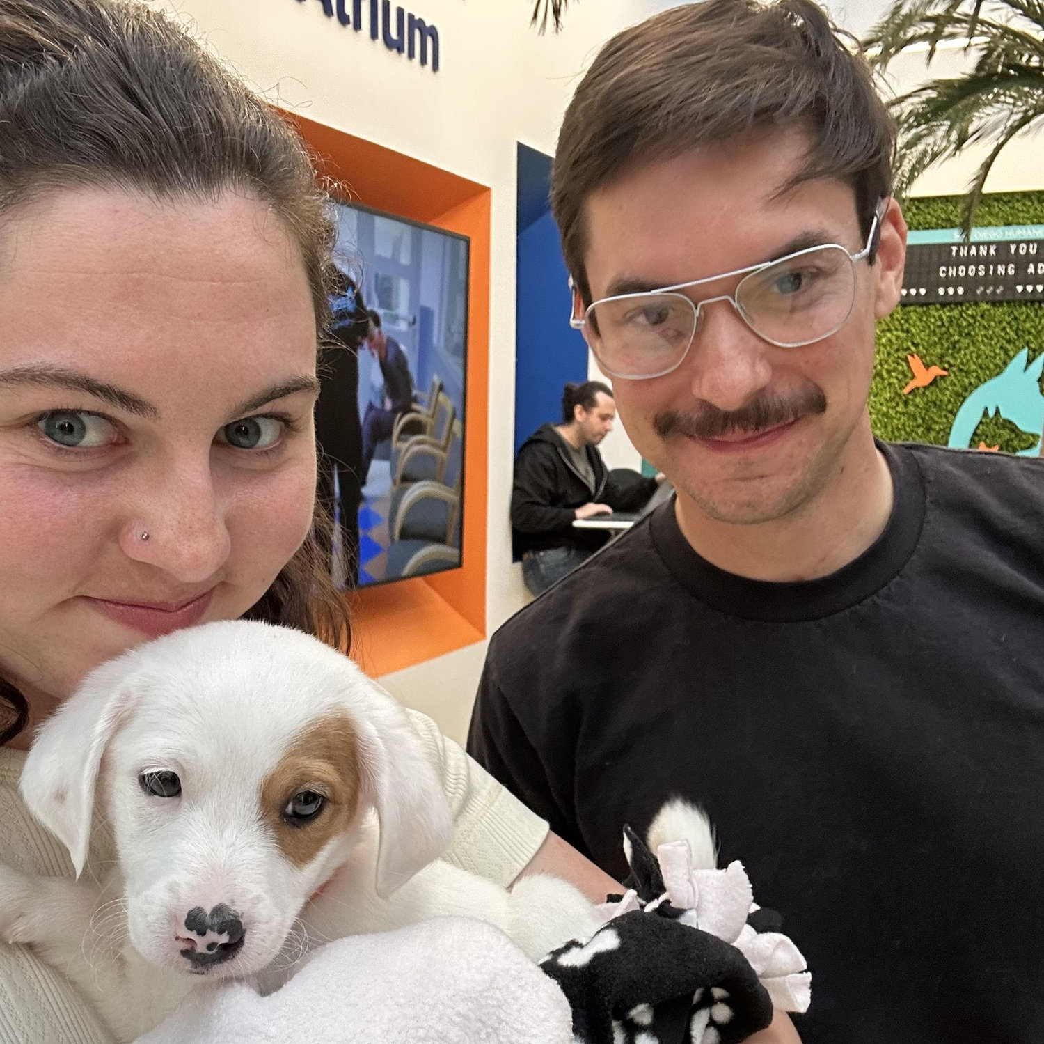us picking up our boy Walter from the San Diego Humane Society after I insisted we needed a puppy.
