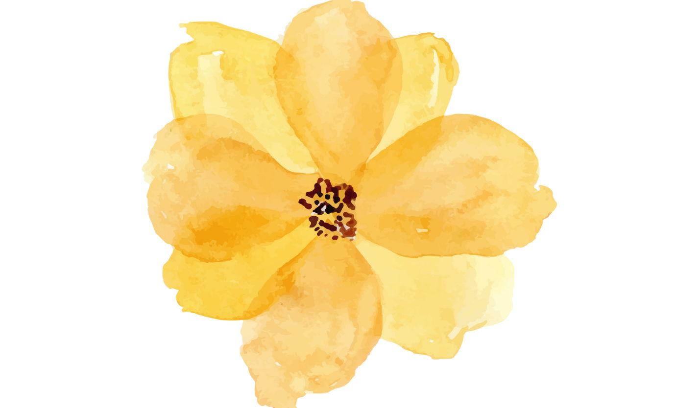 Footer image