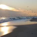 Jones Beach