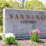 Sannino Vineyard