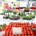 French Market