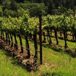 Wine and Farm Tour with Lunch at La Dispensa di San Salvatore
