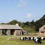 The Grey Barn and Farm
