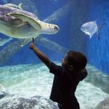 Virginia Aquarium & Marine Science Center