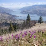 Walking/Hiking Catherine Creek Day Use Area