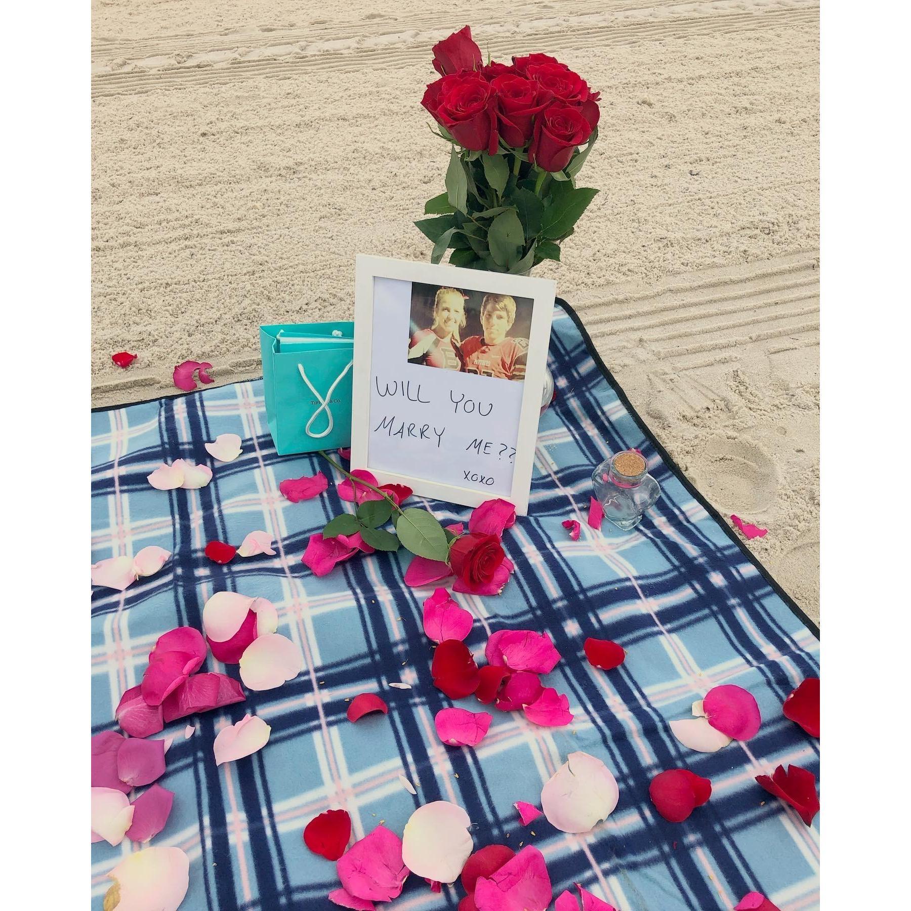 Amanda says "Yes" in Key West!
