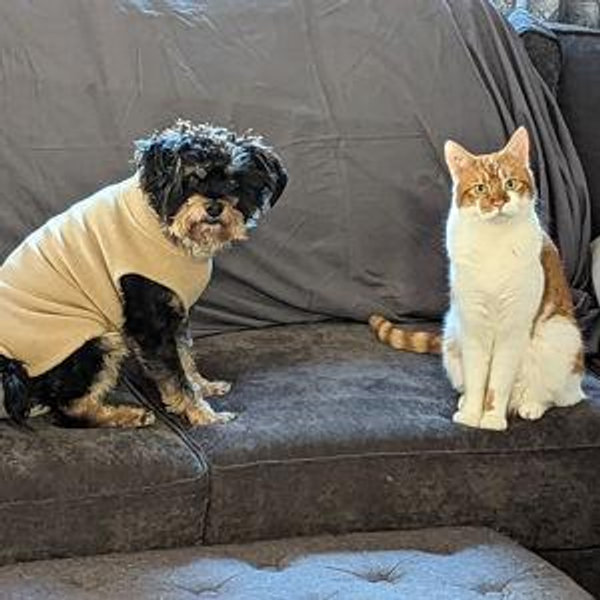 Pet Fund