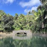 El Yunque National Forest