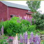 Landis Arboretum