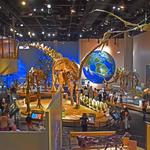 Perot Museum of Nature and Science