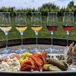 Niagara Wine Tour Guides