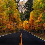 June Lake Loop