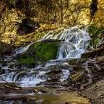 Dunning's Spring Park