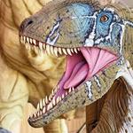 Museo Paleontológico de Cuenca