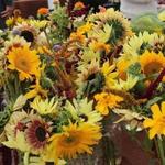 St. Petersburg Saturday Morning Market