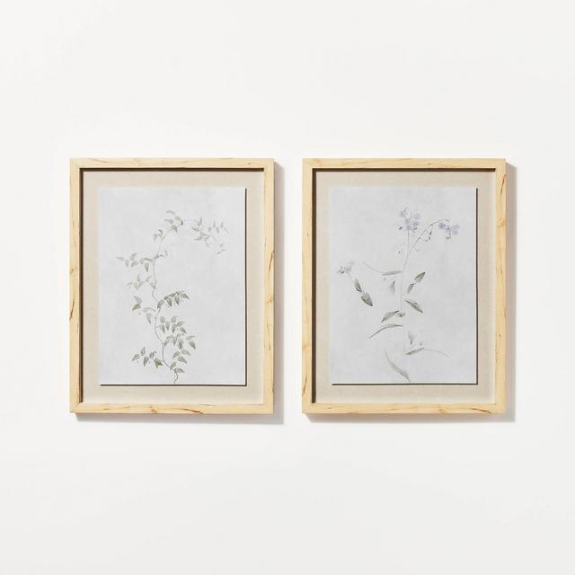 (Set of 2) 16" x 20" Wispy Sprig Framed Wall Canvas - Threshold™ designed with Studio McGee