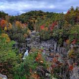 Pisgah National Forest