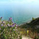 Lion's Den Gorge Nature Preserve