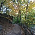 Wissahickon Valley Park