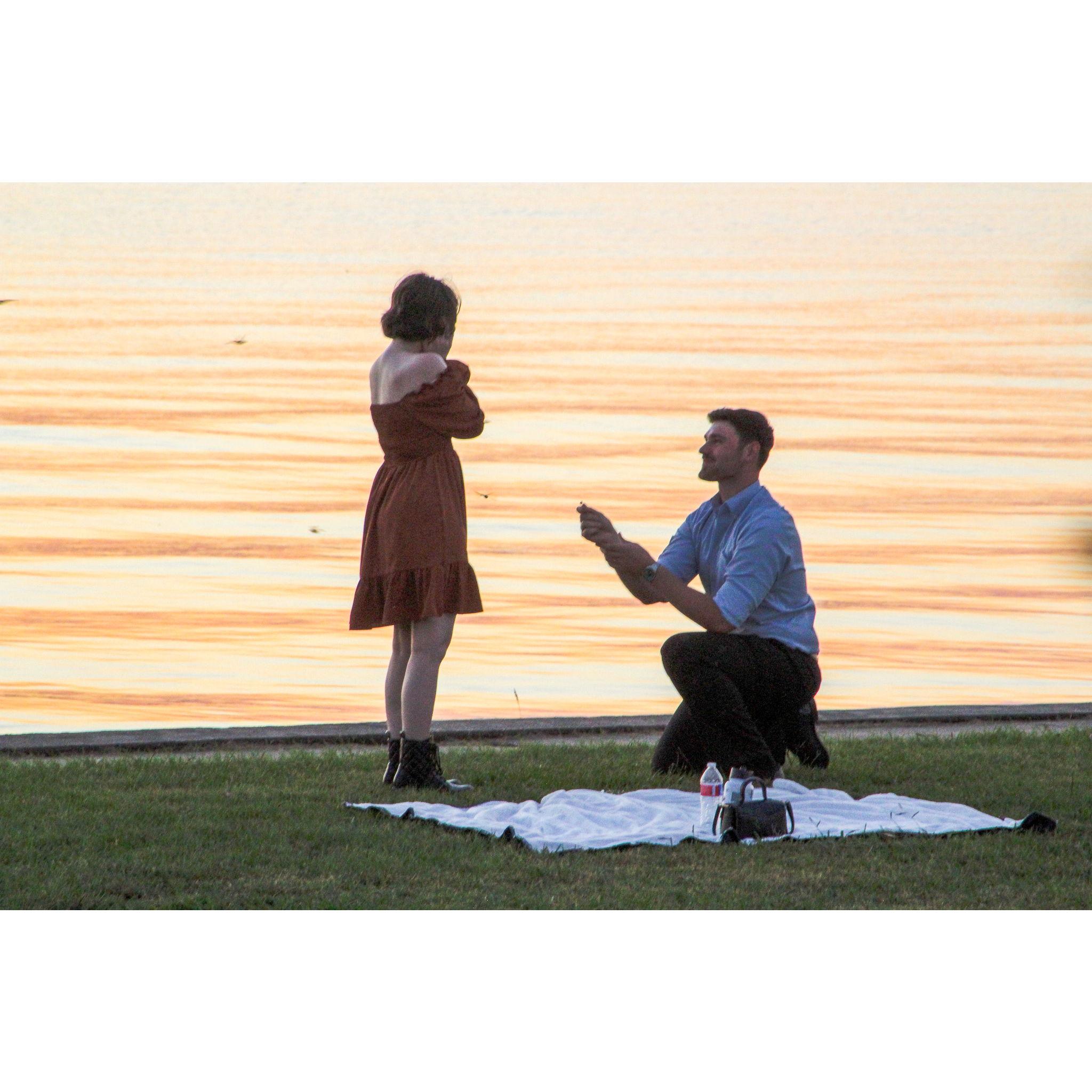 THE PROPOSAL OMG HE DID IT
