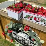 McGarrah Farms Rivercrest Orchard, LLC